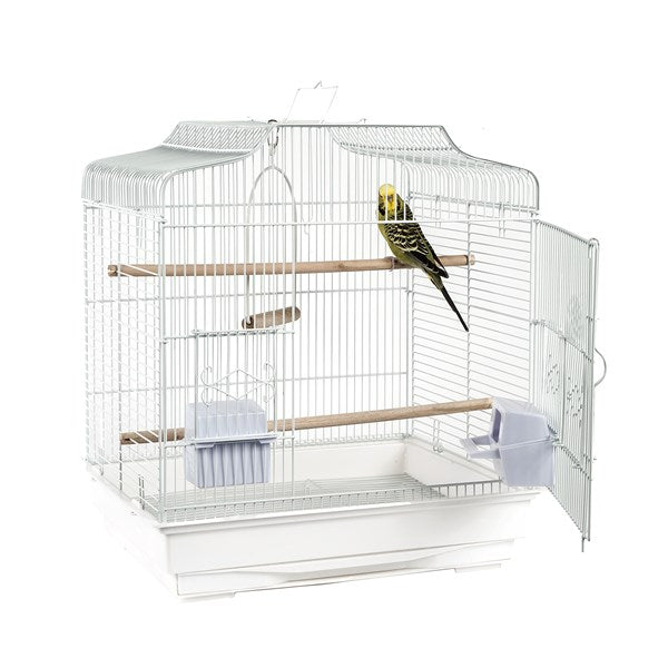 Costa Rica Bird cage