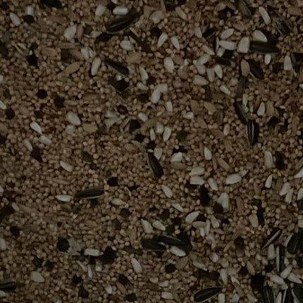 Parakeet , Cockatiel and lovebird mix