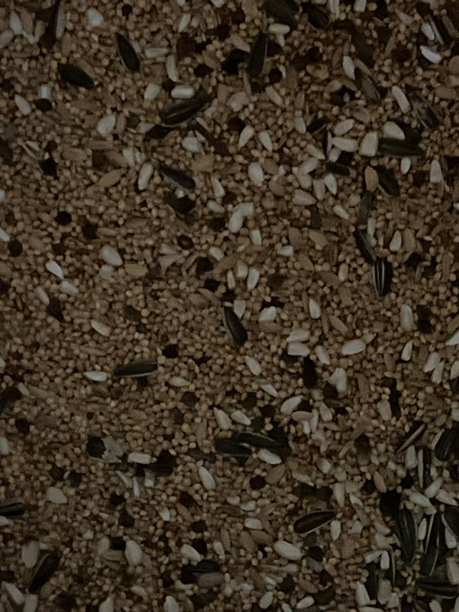 Parakeet , Cockatiel and lovebird mix