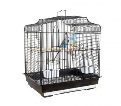 Liberta Siam Bird Cage