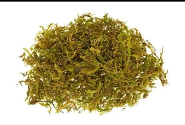 Natural Moss Nesting material