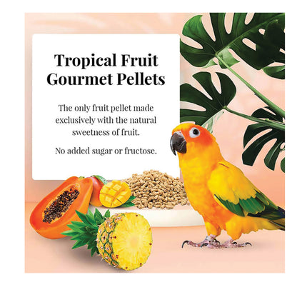 Lafeber Gourmet Pellets Tropical Fruit 567g Complete Conure Food