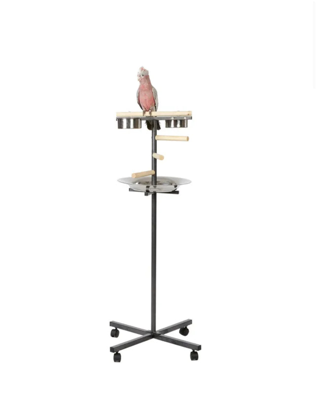 Little T Bird Bar stand