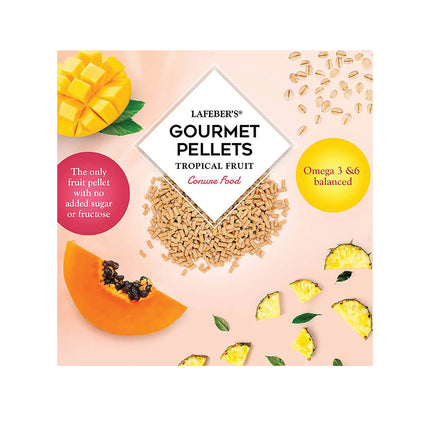 Lafeber Gourmet Pellets Tropical Fruit 567g Complete Conure Food