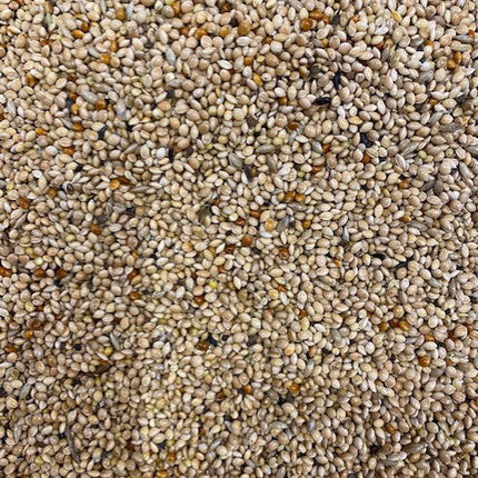 Colonels Foreign Finch Seed Mix