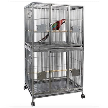 Rainforest Double Parrot