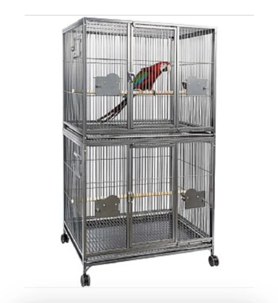 Rainforest Double Parrot