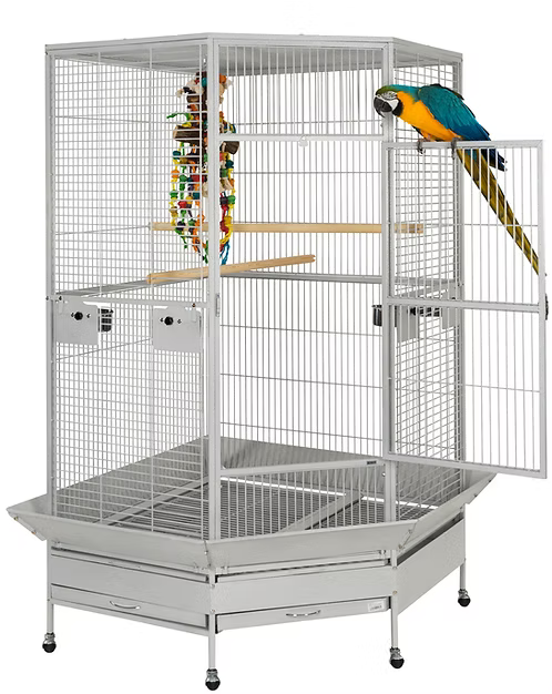 Liberta Raleigh Large Corner Parrot Cage